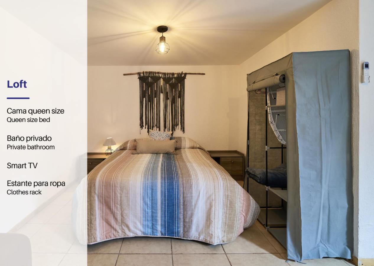 Cozy Studio In Roma Norte เม็กซิโกซิตี้ ภายนอก รูปภาพ